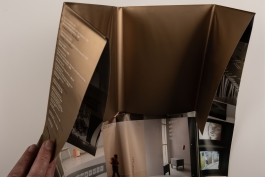 studio Gestaag